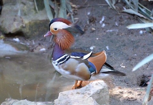 World of Birds Wildlife Sanctuary.